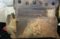   Willys MB (3)