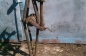 indian (2)