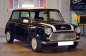 Mini (2)