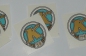    (2)