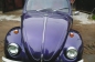 Volkswagen (3)
