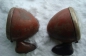  (2)