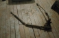Citroen 23 (2)
