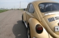 VW beetle (2)