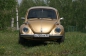 VW beetle (4)