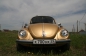 VW beetle (5)