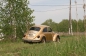 VW beetle (6)