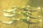   (3)
