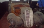 BMW 321 (4)