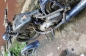  DKW NZ 350  350?  49 (2)