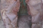 shkoda (4)