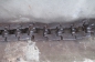  (4)