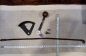  DKW