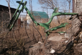 Batavus
