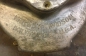  Harley Davidson  (3)