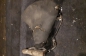  BMW / Zundapp (2)