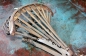 ADLER (2)