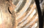 Horch (4)