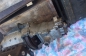 BMW 309,320,321,326 (2)