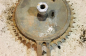 NSU, HD, BSA, Speedway, DKW (5)