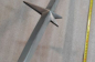 Ikarus (4)