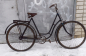  1950 (2)