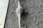 Opel (3)