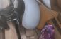  -5 (2)