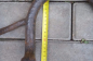  BMW R-71  -72 (3)