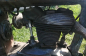 Zundapp DS-350 (3)