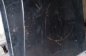 -13, (6)