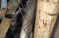 Oldsmobile Catlass Supreme  (2)