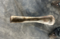 NSU 251 (3)