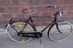 Batavus