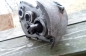 BMW R-12 (2)