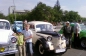  OpEL (2)